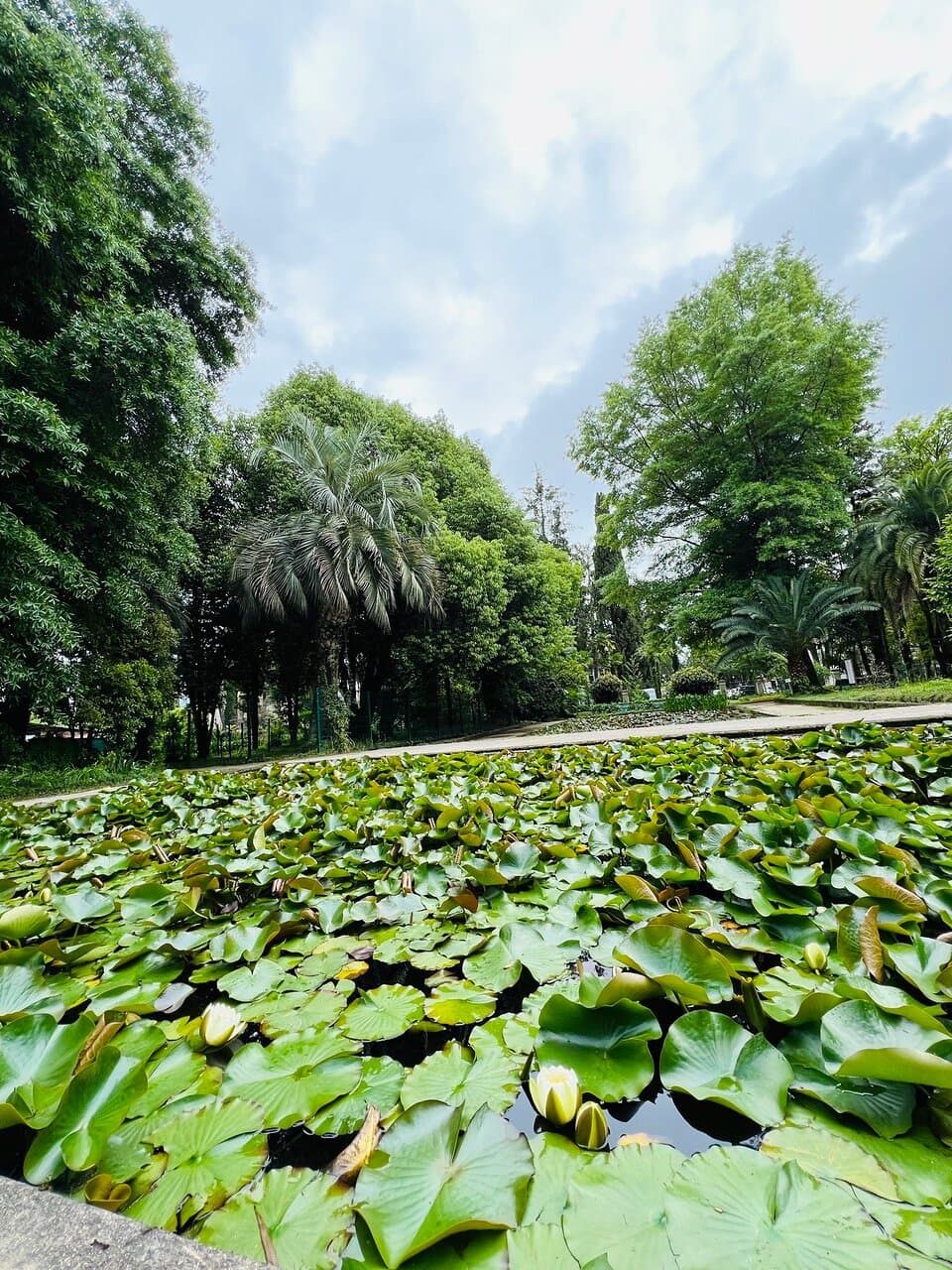 Sukhumi Botanical Garden