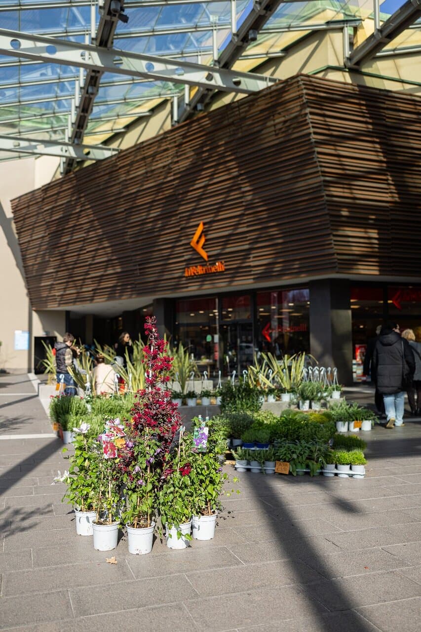 Barilla Center