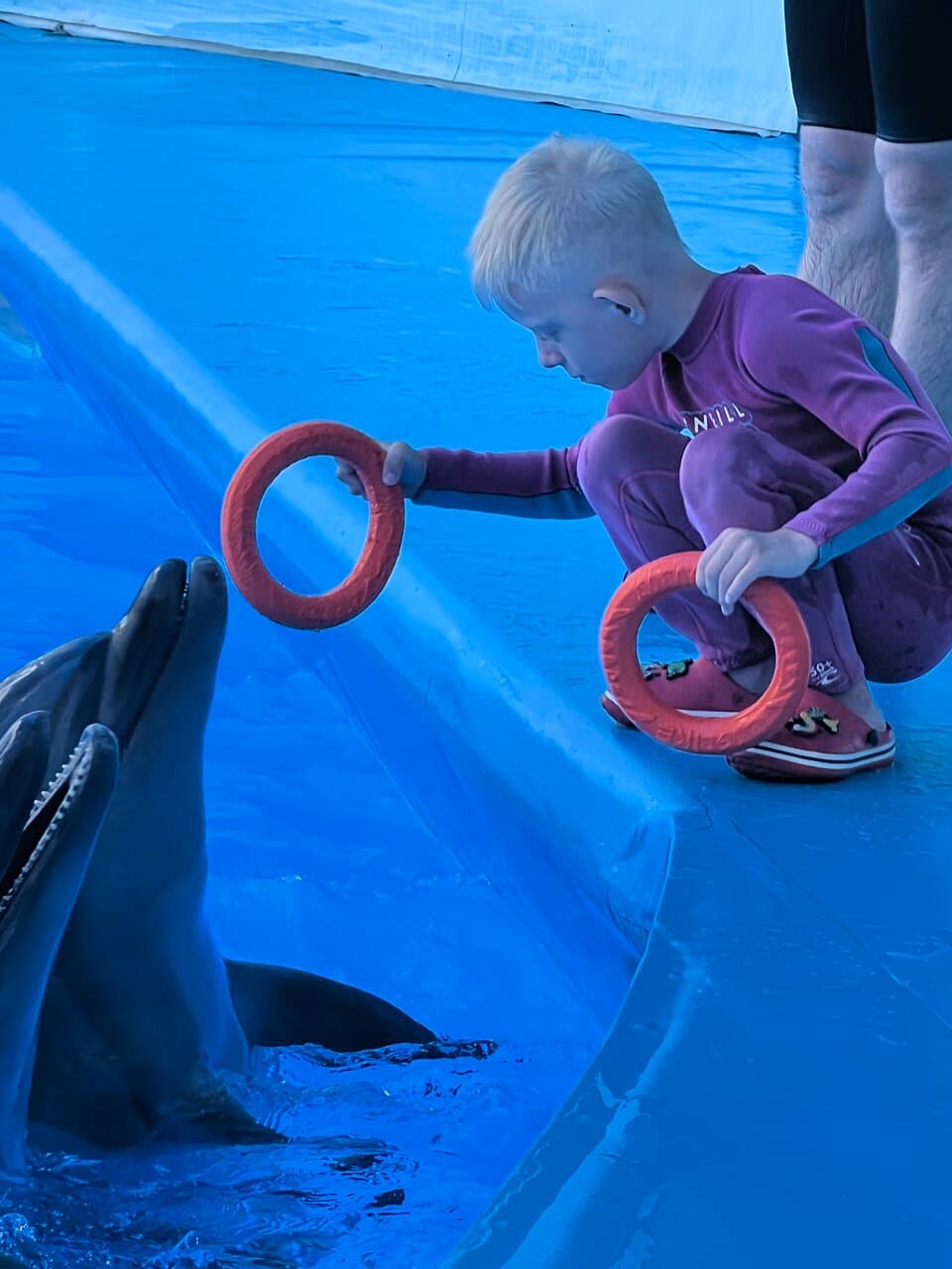 Dolphinarium Nemo Alushta