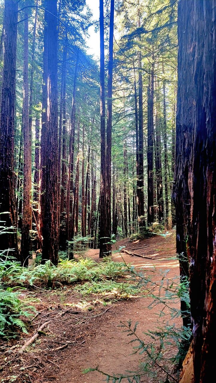 Roberts Regional Recreation Area