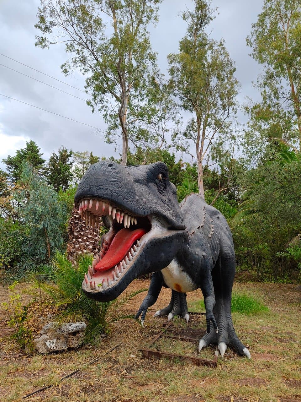 Dinosaur Park Parco dei Dinosauri