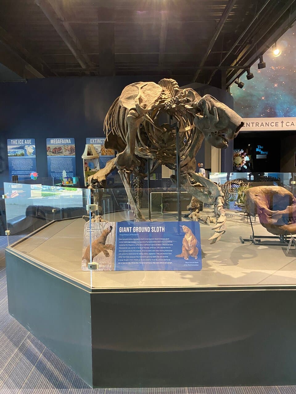 Viewing the Boonshoft Museum of Discovery