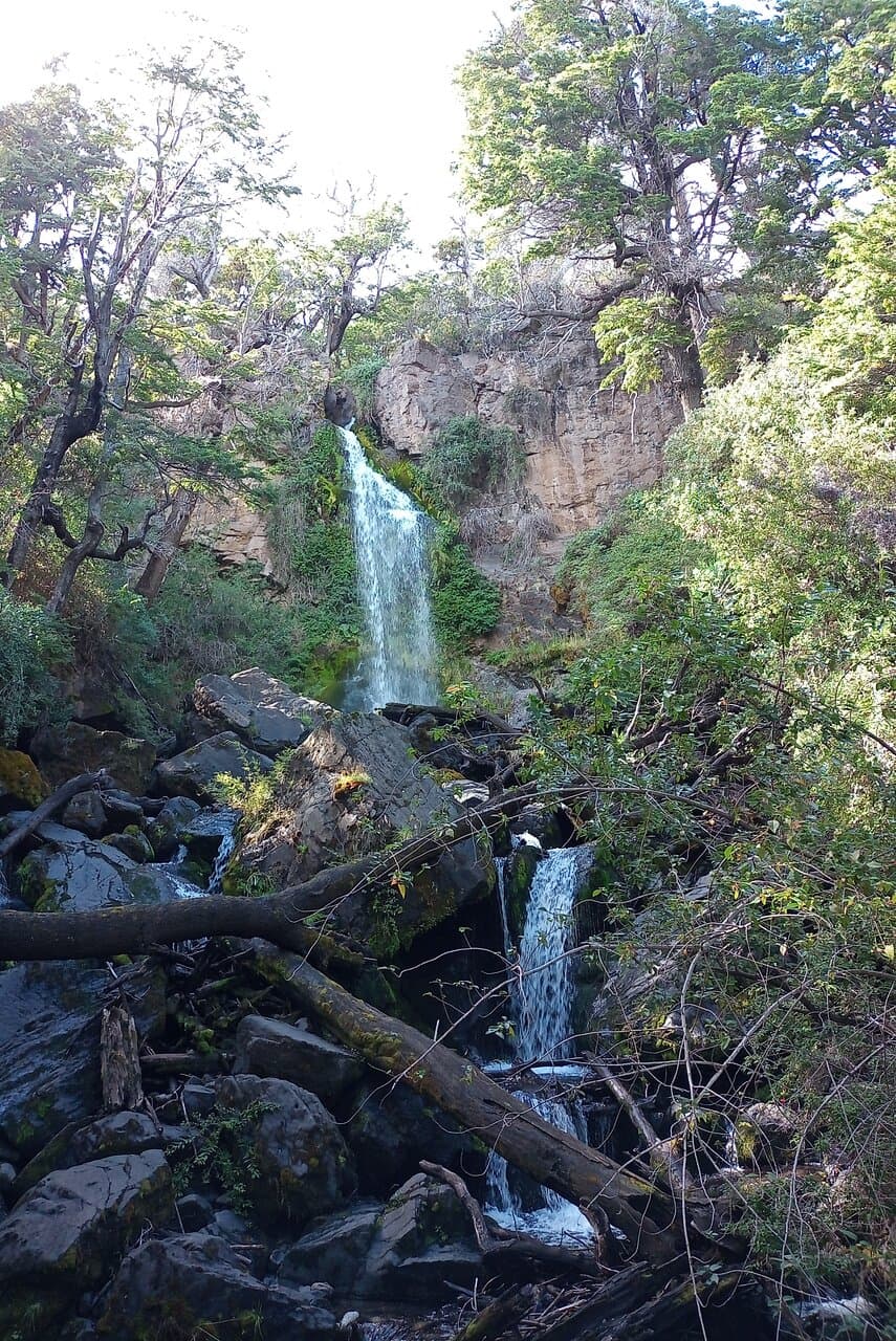 Cascada Irigoyen en Parque Nacional Los Alerces: Provincia de Chubut- Argentina 2024.