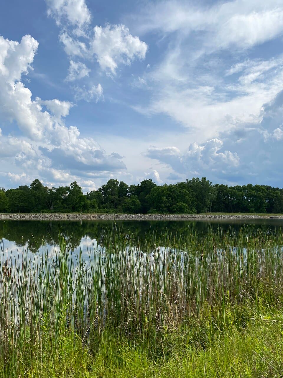 Walking Around Possum Creek MetroPark