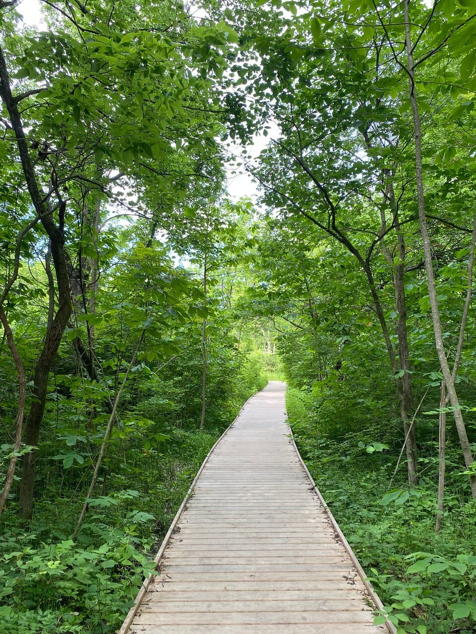 Hiking around Aullwood Audubon