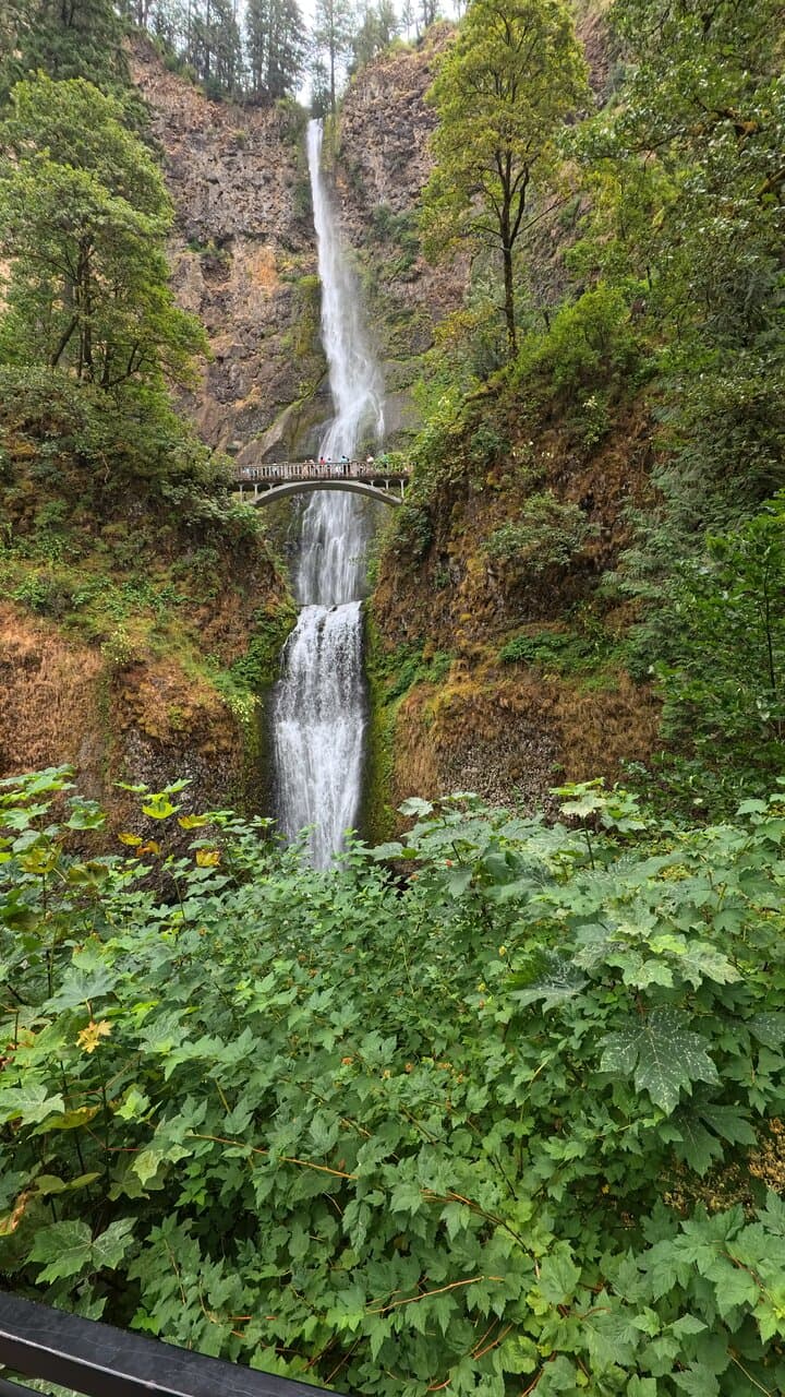 242 ft drop - Wahkeena Falls