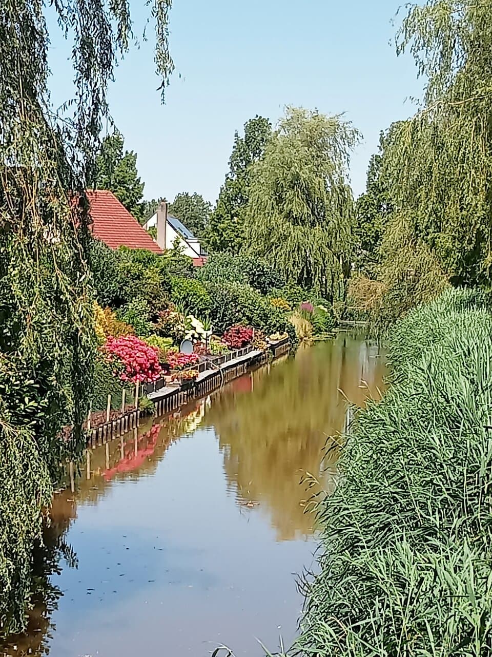 Swifterbant. Flevoland, Netherlands. June 2024.