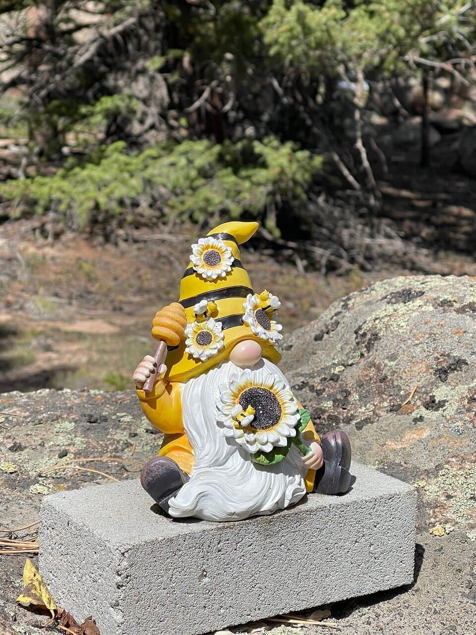 We accidentally found ‘Gnome Road’ and it was fantastic!  What a beautiful place Red Feather Lake is, and this was absolutely the cherry!  May You Live with Ease 🧘🏽🙏