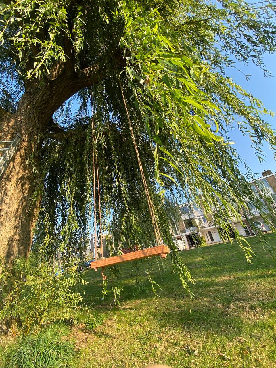 Dok van Perry (Perry's Dock)