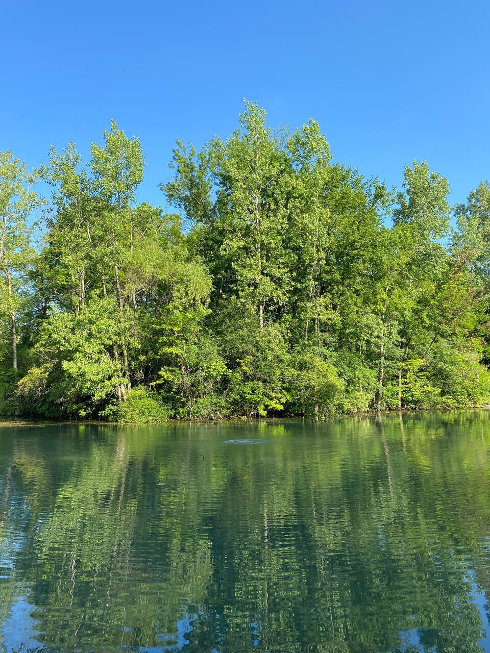 Hiking Around Pearson's Metropark