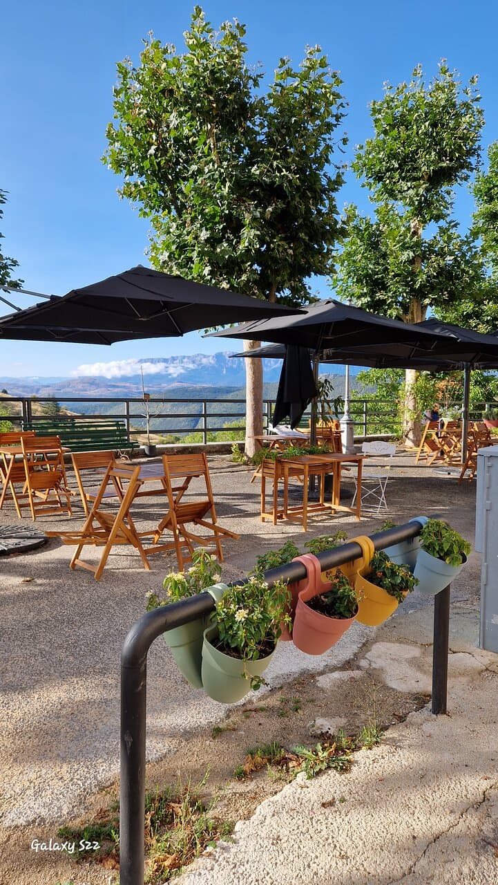 FALCO The! Heavenly Bar