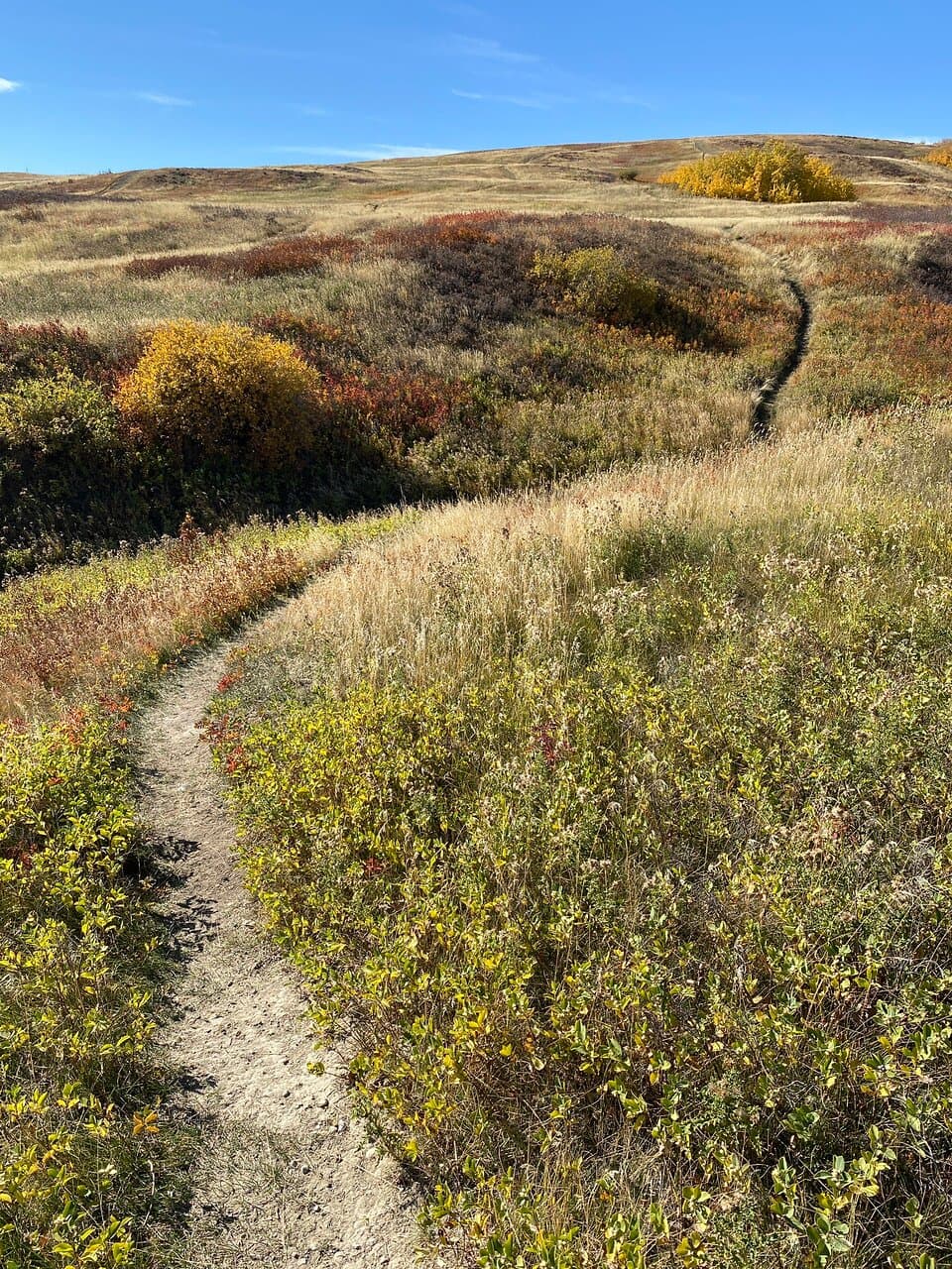 Nose Hill Park, Calgary AB, October 2024