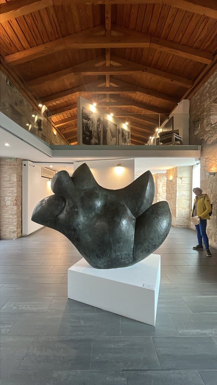 Centro de Arte Baltasar Lobo