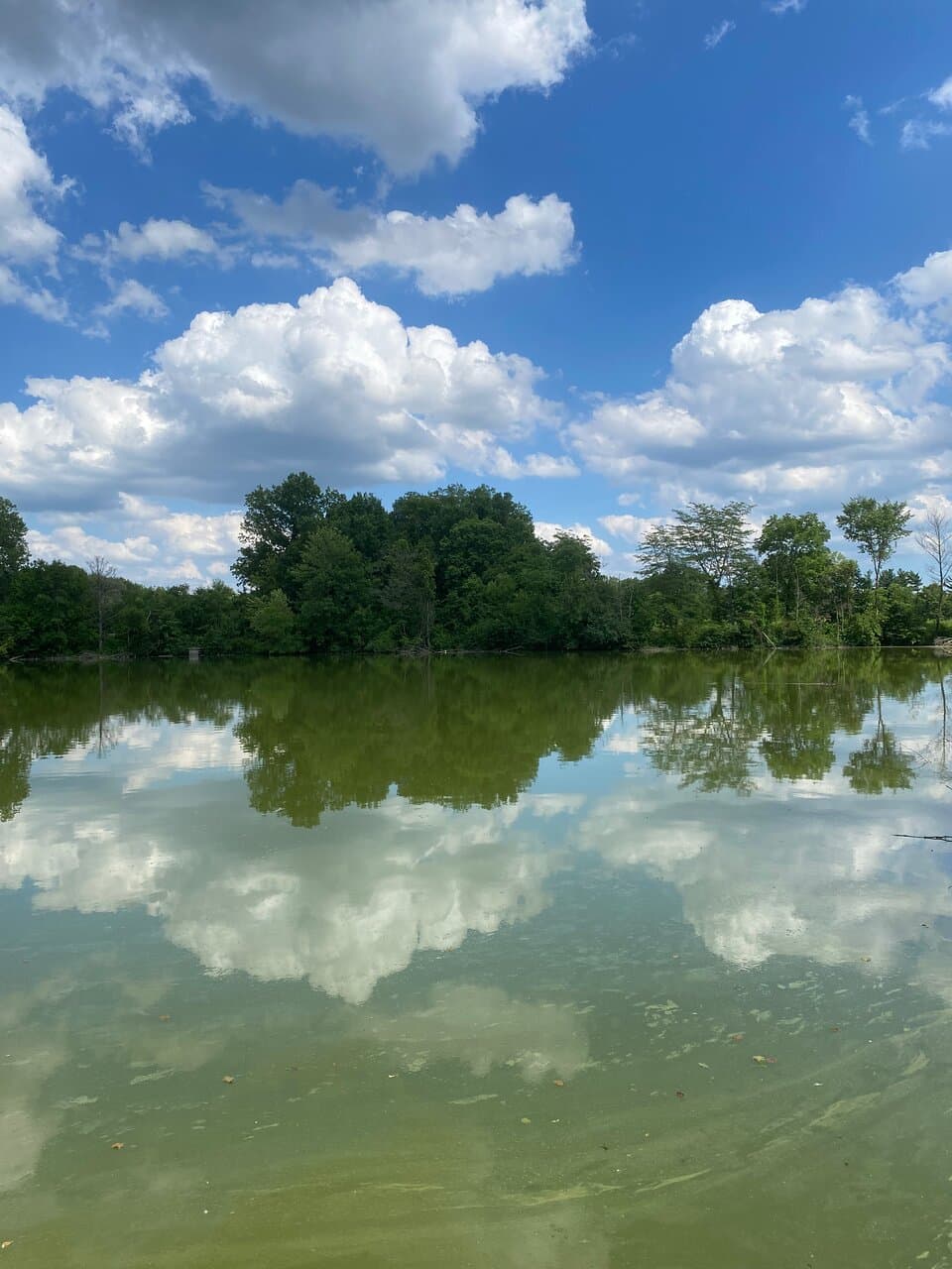 Exploring Sharon Woods Metro Park