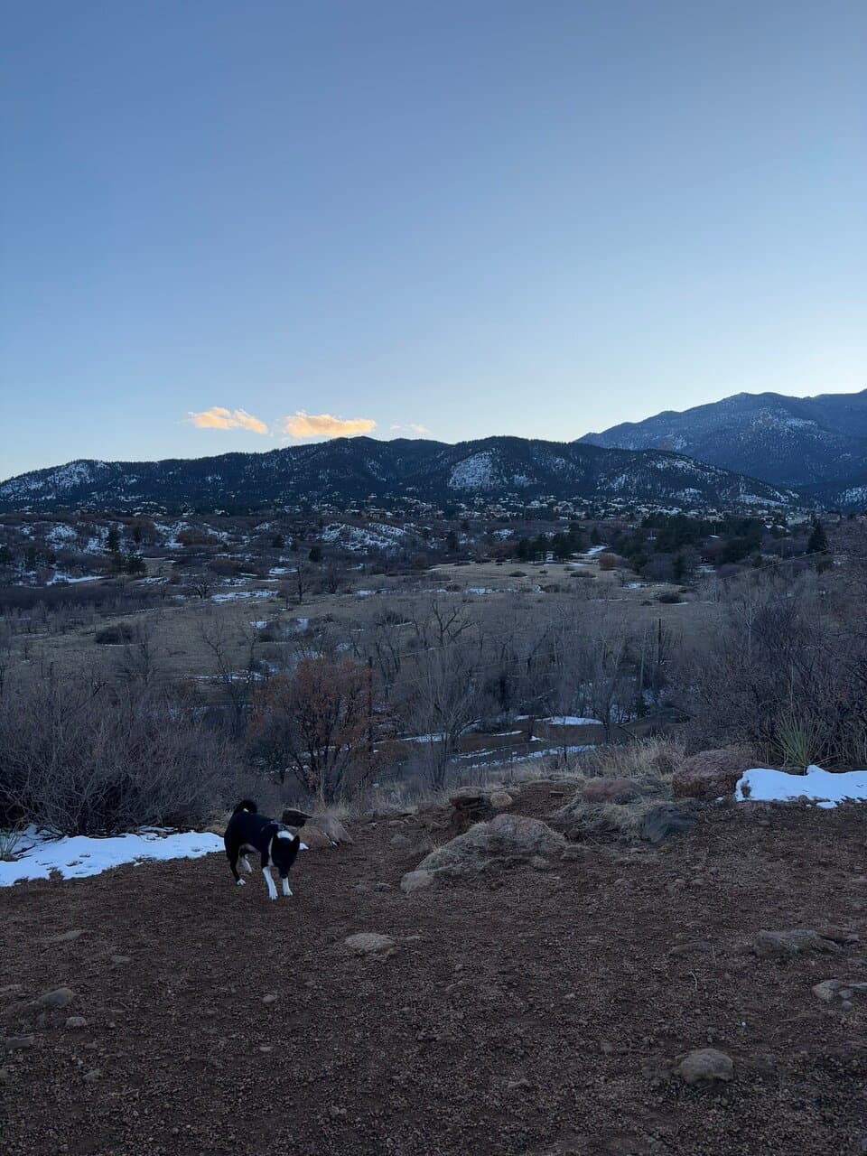 Bear Creek Dog Park Colorado Springs
