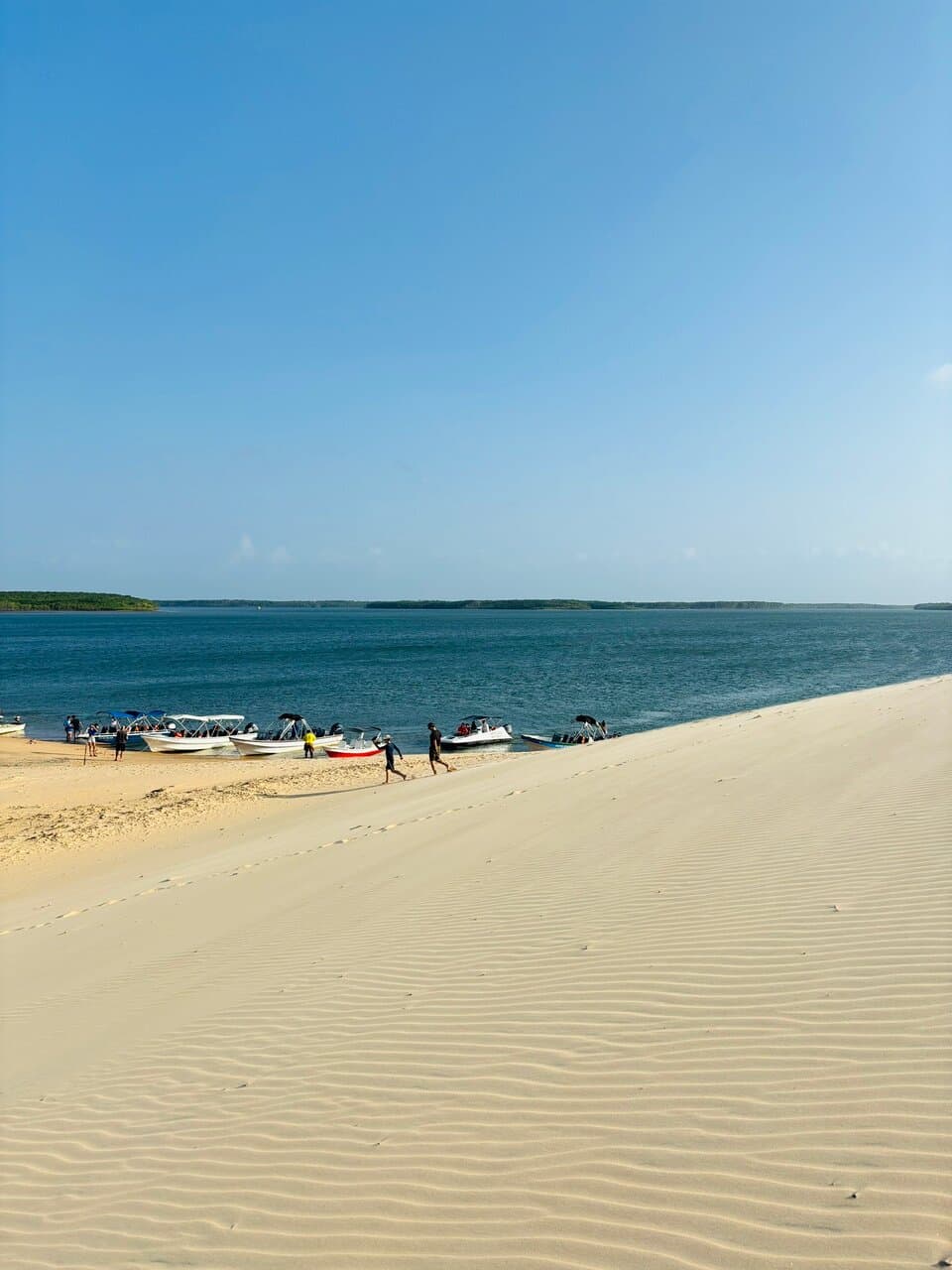 Revoada dos Guarás   Saída do Porto dos Tatus - Ilha Grande PI  Exploramos os encantos da natureza selvagem-entre as águas serenas dos igarapés, os olhares atentos dos jacarés e a vivacidade dos macacos curiosos. Um mergulho profundo na beleza e na diversidade da vida que floresce na mata brasileira.  Nas curvas suaves das dunas douradas, o céu se pinta de vermelho com a dança elegante dos guarás em revoada - um espetáculo da natureza que hipnotiza e emociona.