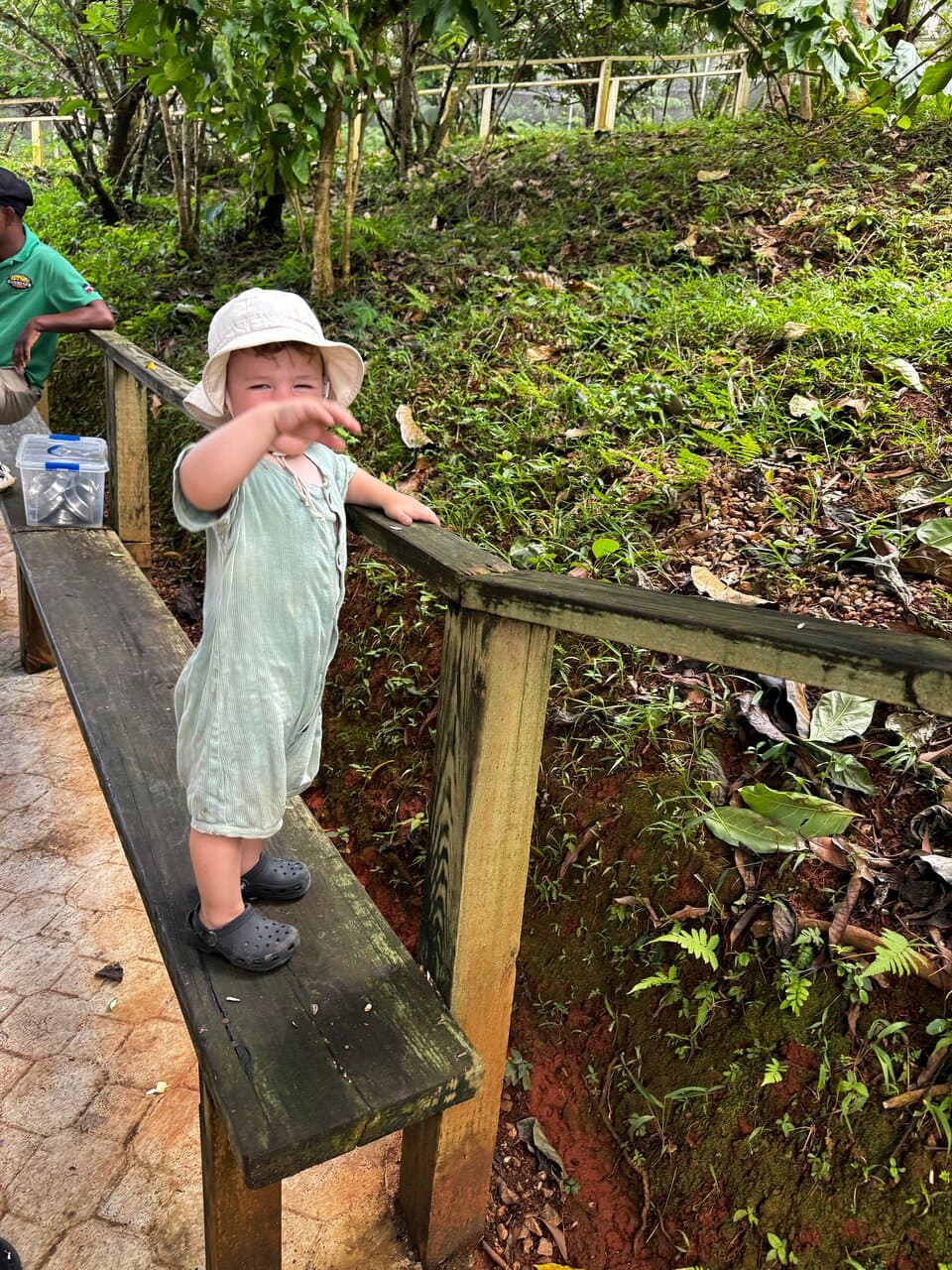 Monkeyland Primate Sanctuary