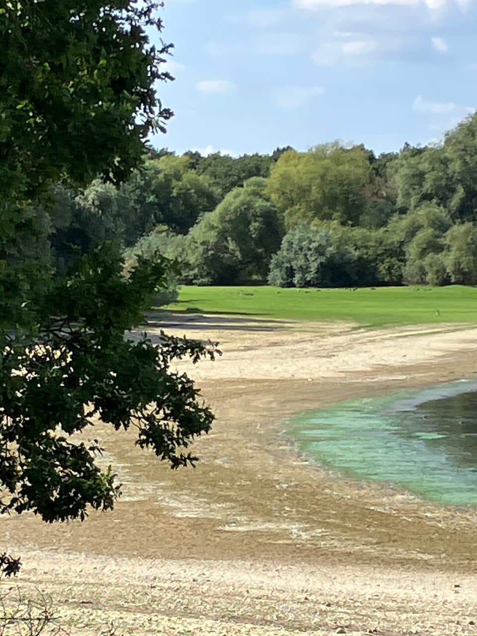 Hanningfield Reservoir