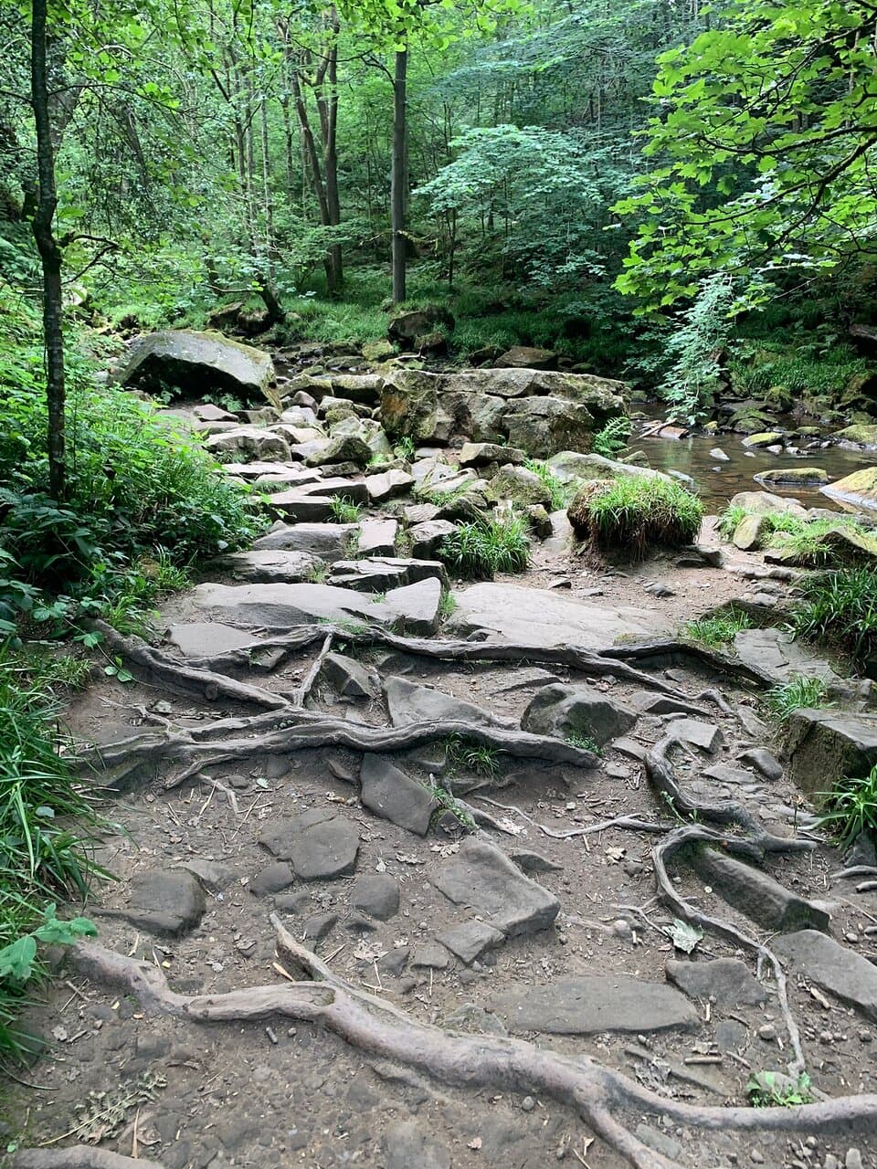 Goathland NYMR Mallyan Spout