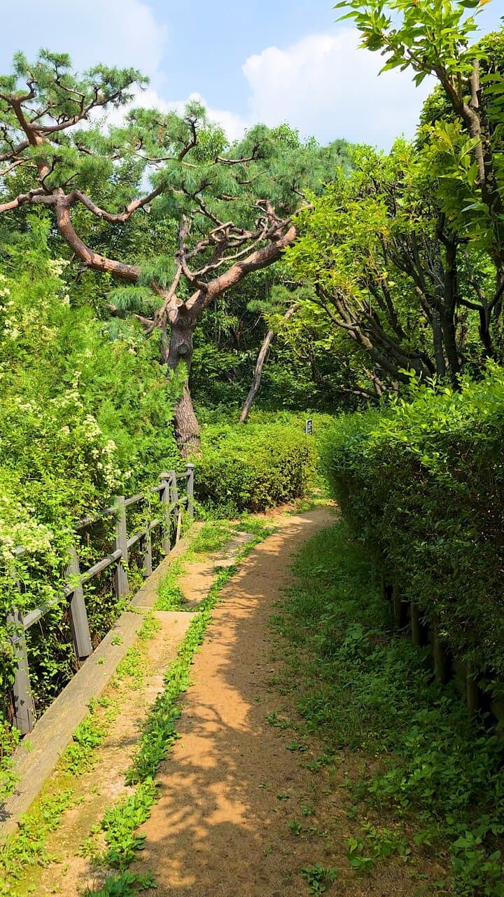 Baeksasil Valley Seoul