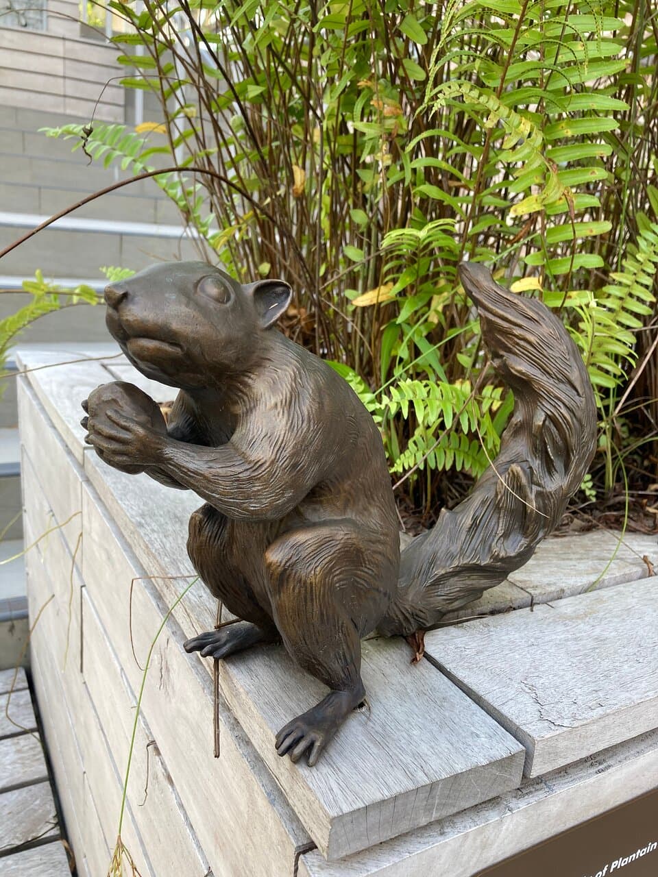 Rifle Range Nature Park