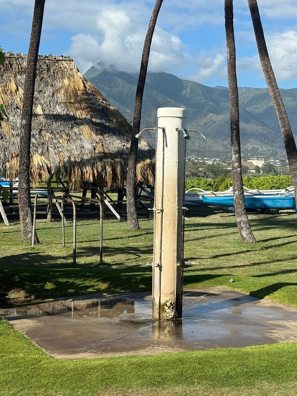 The park is set back from the road by Akamai Motors. Plenty of free parking. This is the location of the Hawaiian Canoe Club with many boats stored. The bathrooms are that are accessible are for members only. Able bodied persons can use the portables at the entrance. The beach is wheelchair accessible until the sand. The beach is sandy without a rocky reef making it nice to walk on and swim. Locals brought their dogs so assume it’s dog friendly. The water is protected by the harbor walls.