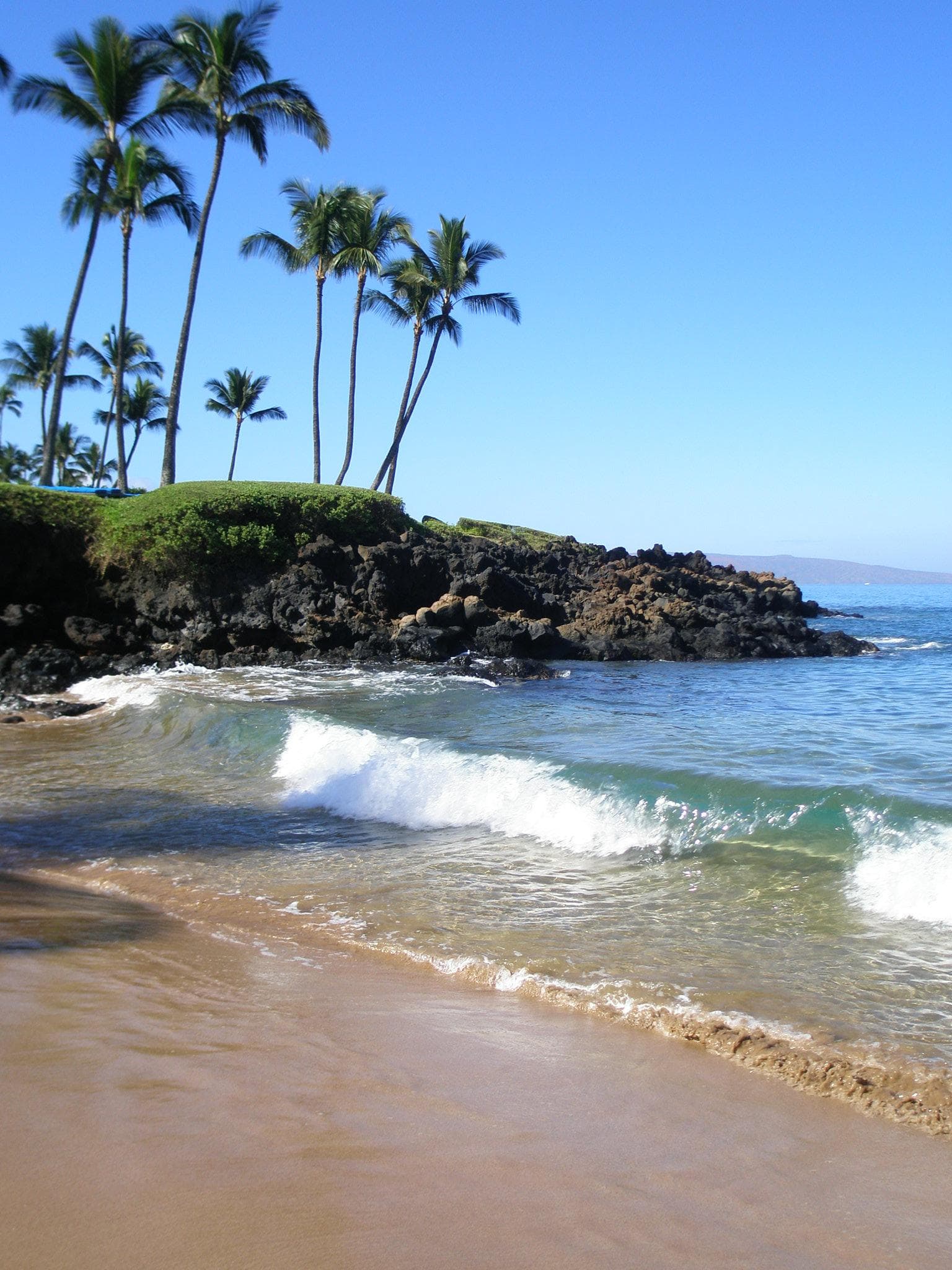 View of Ulua Beach, Maui