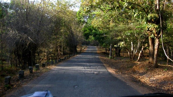 The approach road to Bondla wildlife sanctuary