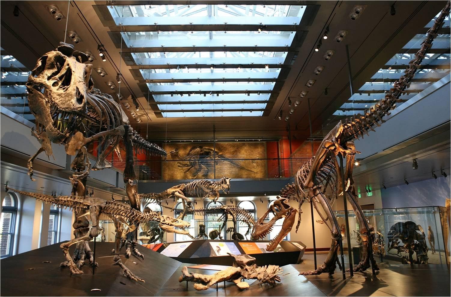 The Dinosaur Hall