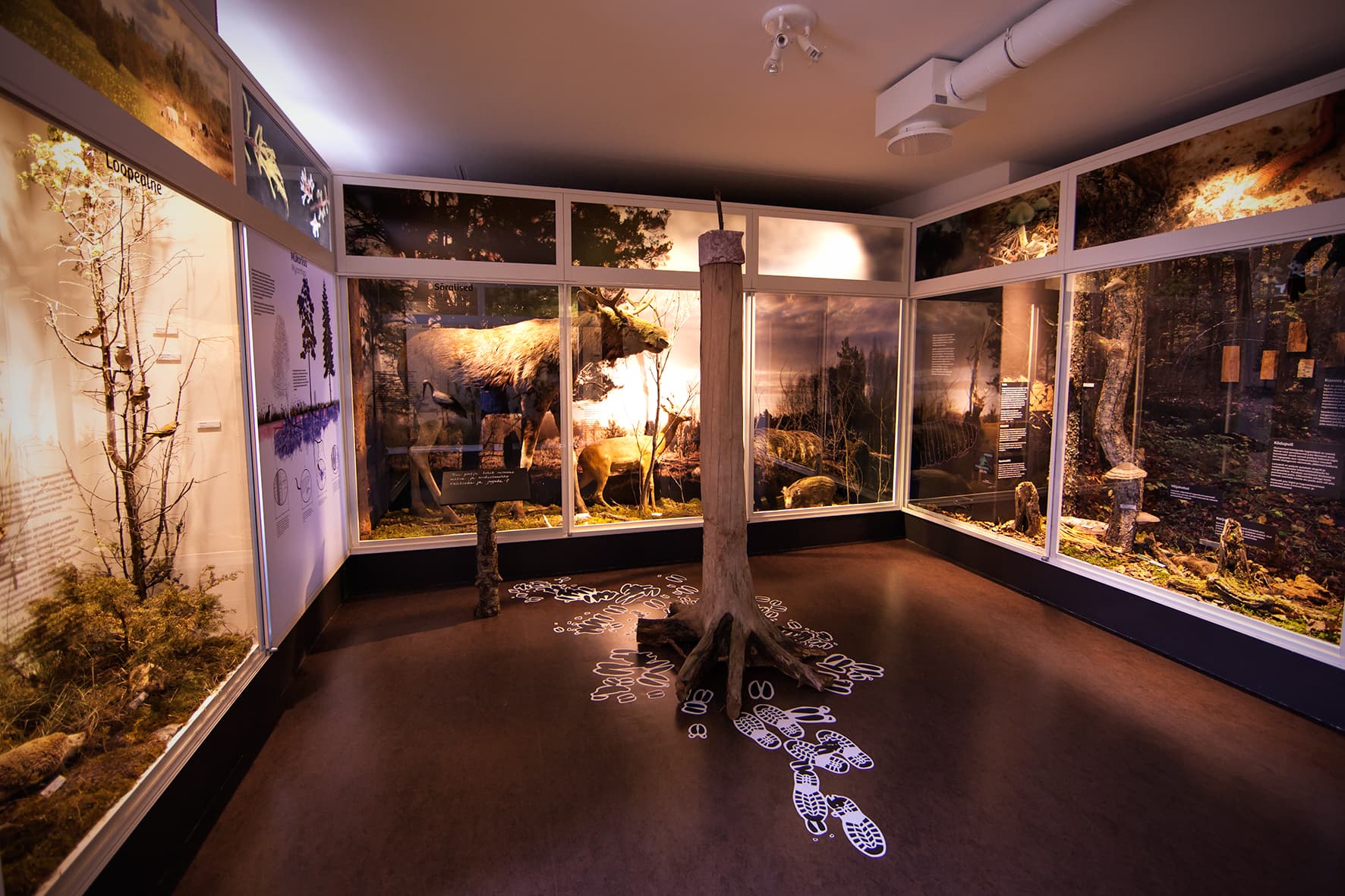 getlstd_property_photo