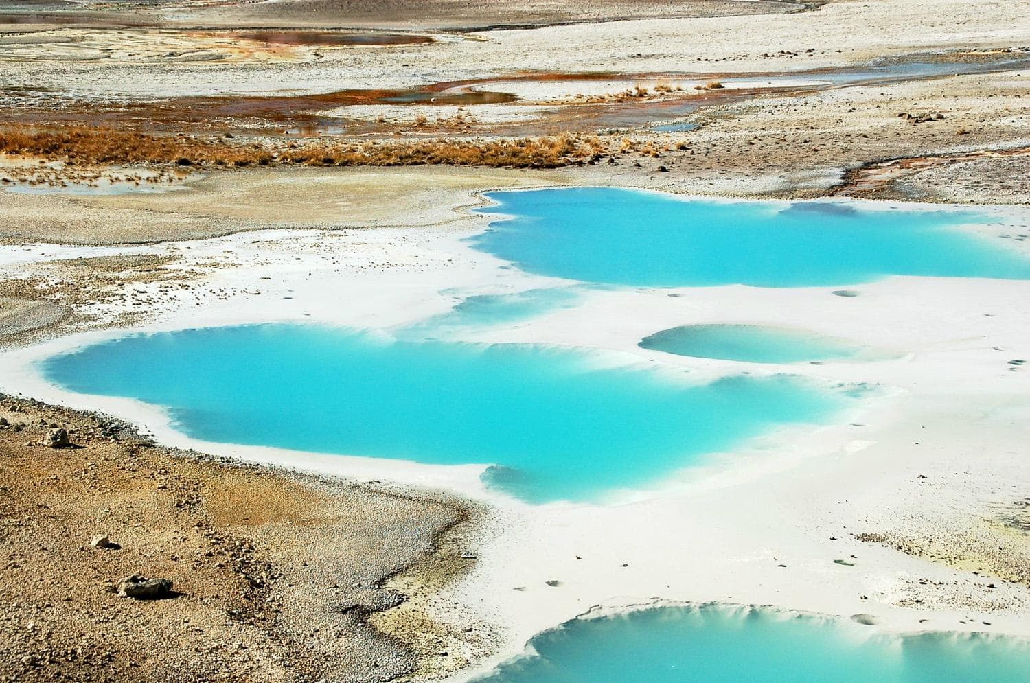 Norris Geyser Basin 2