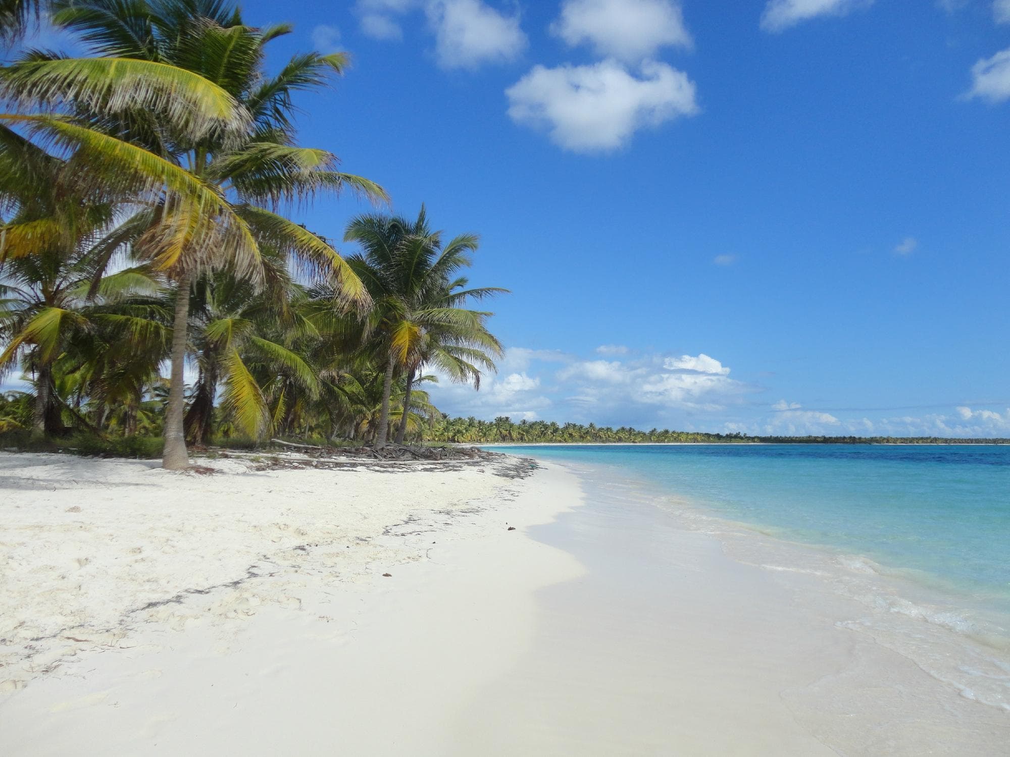 isla saona, playa de pepe WOWWW