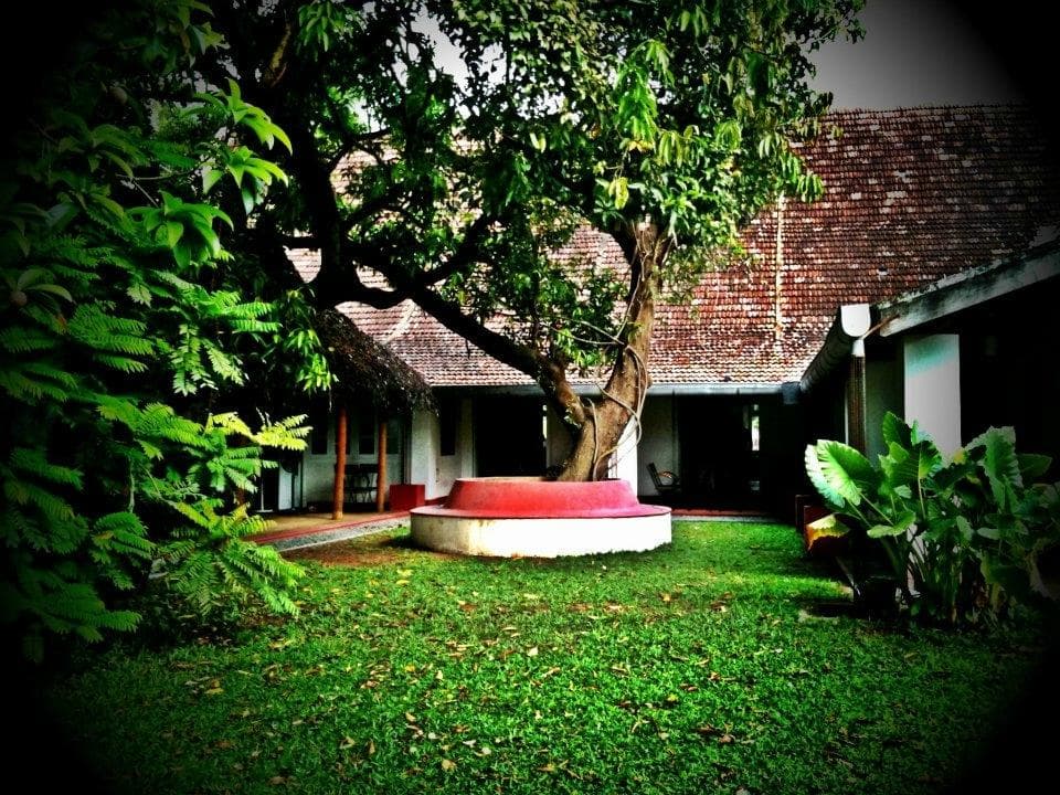 garden