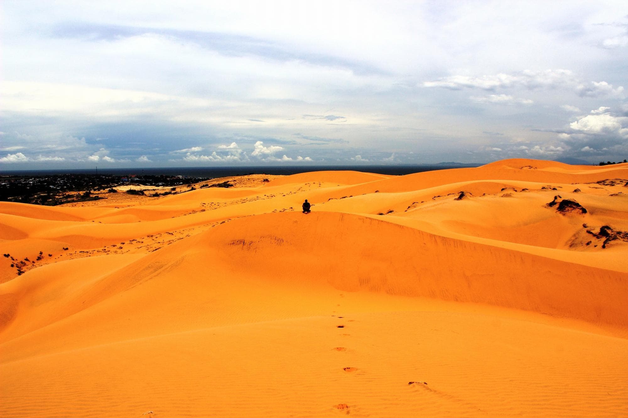 Dune