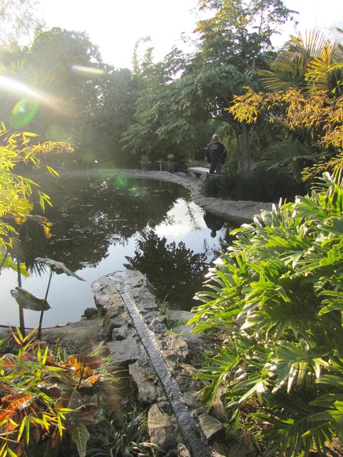                   looking across the pond
                