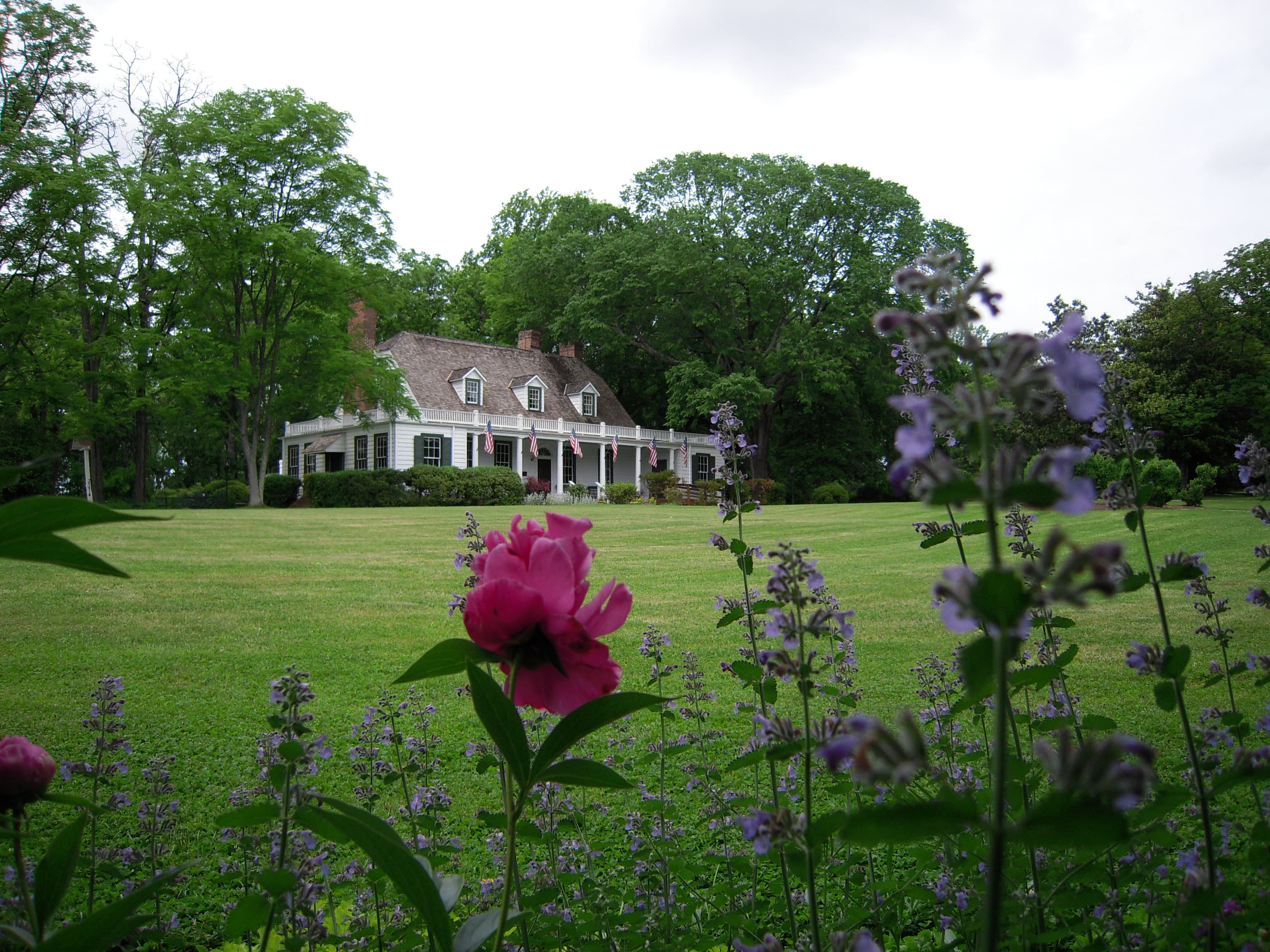 getlstd_property_photo