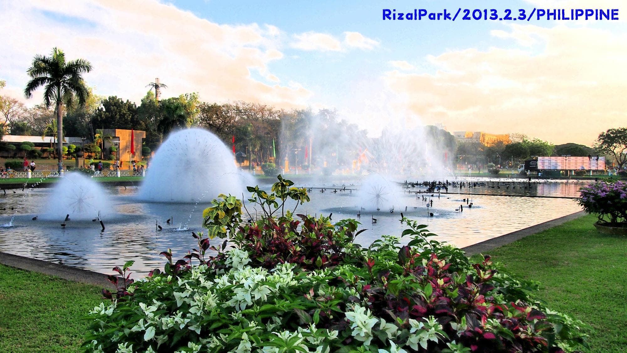                   朝のＲｉｚａｌＰａｒｋ
                