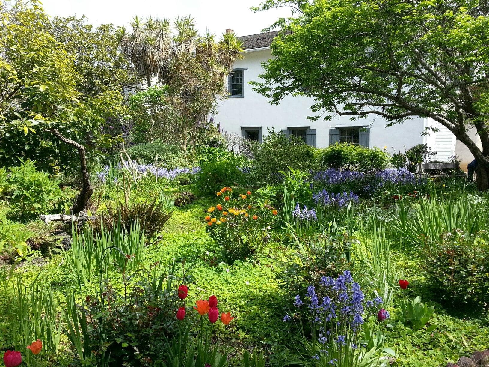 Beautiful Garden Oasis in the back of the Stevenson House