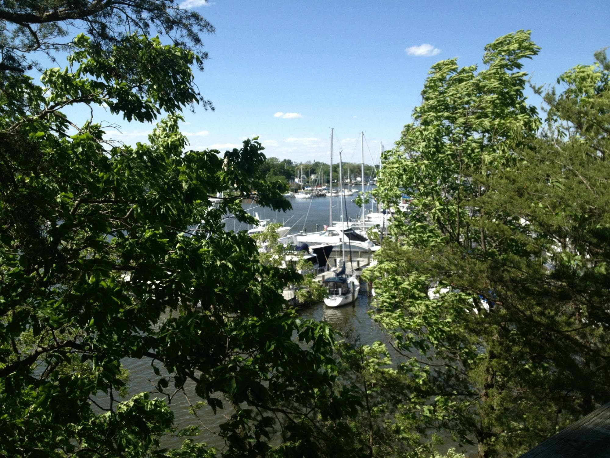 View from one of the overlooks.