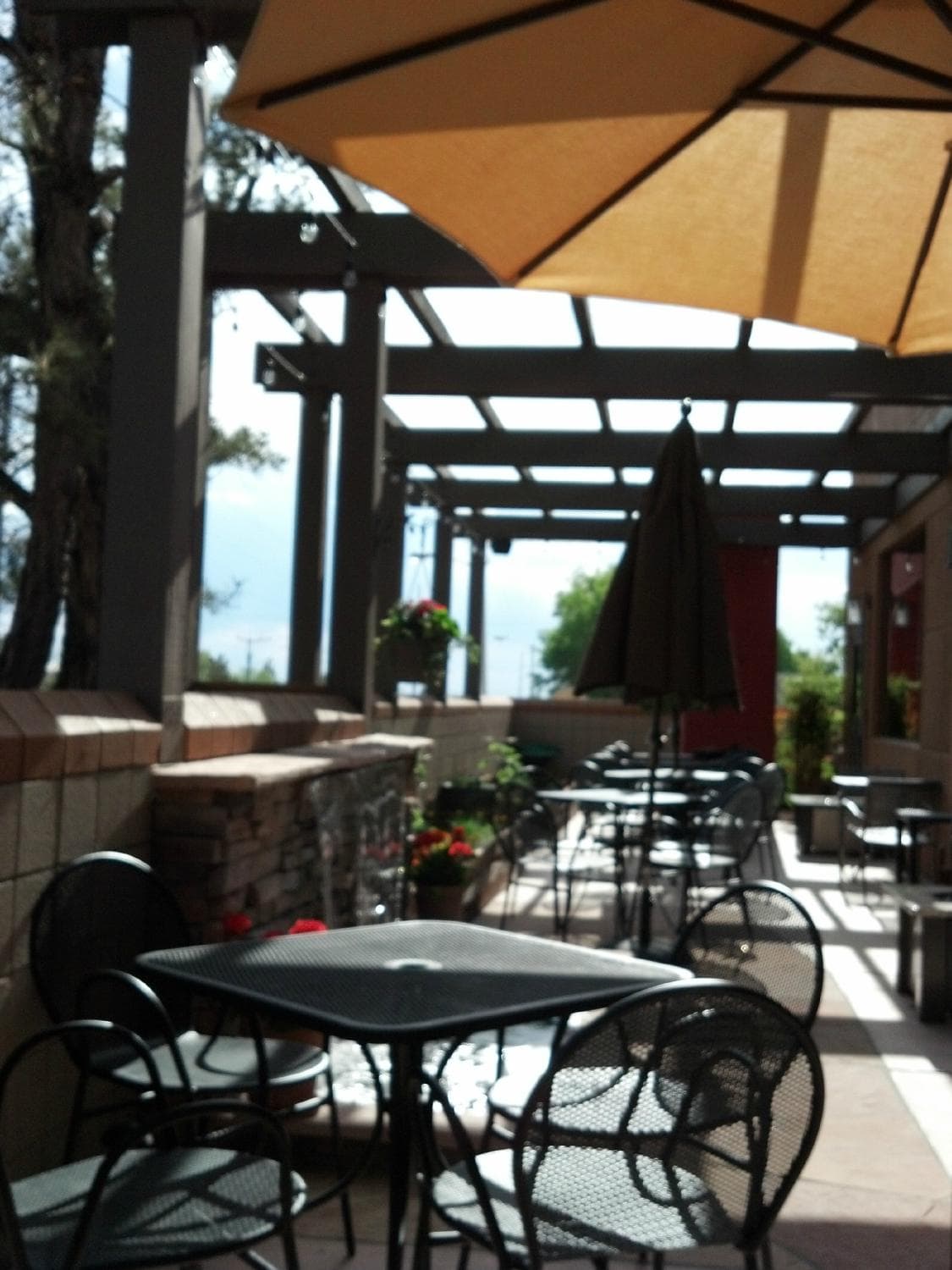 Farina Alto patio - fresh herbs are planted amongst the flowers