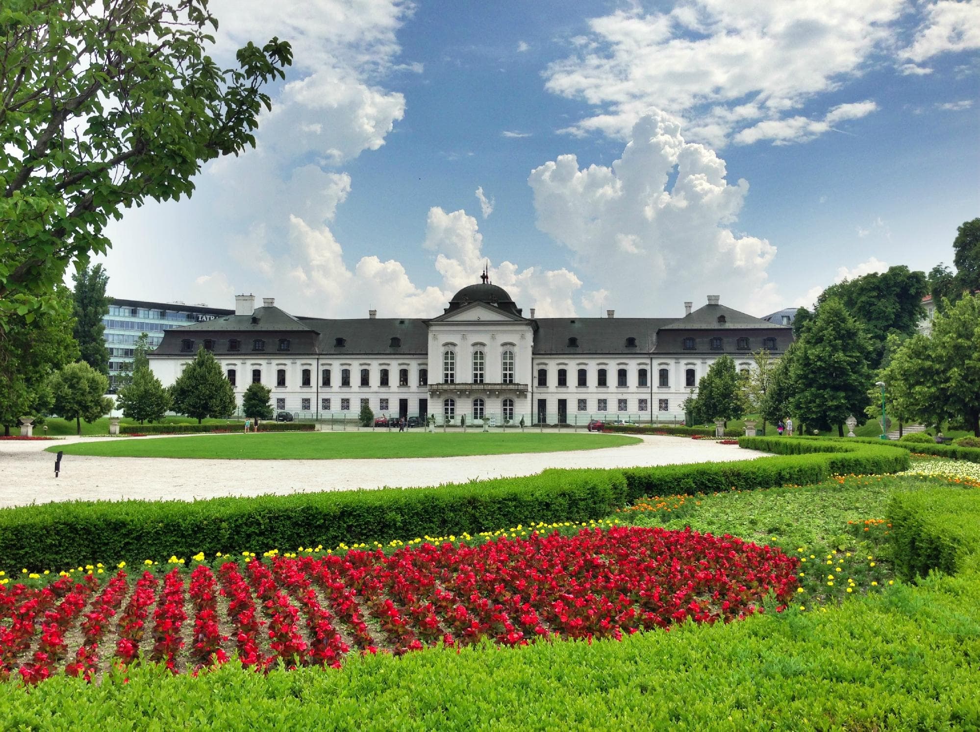 view from the garden