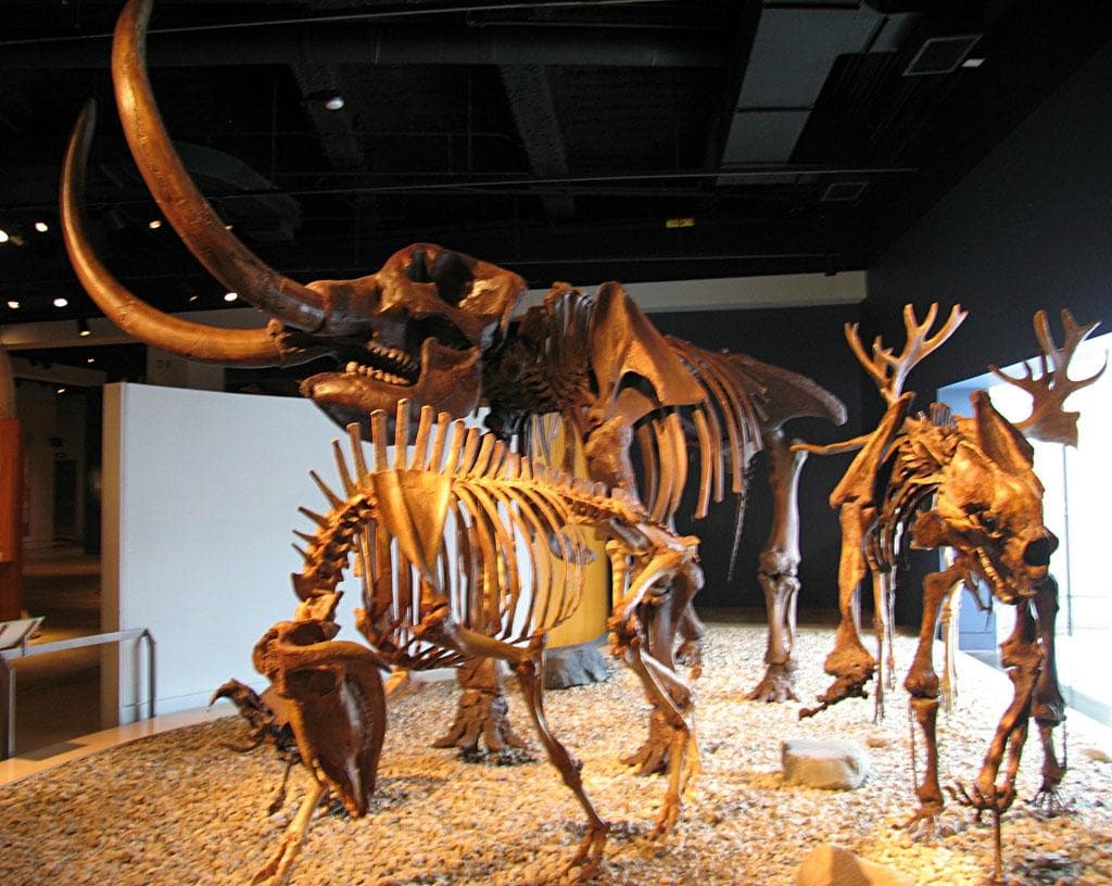 3 Beasts of Ancient Indiana