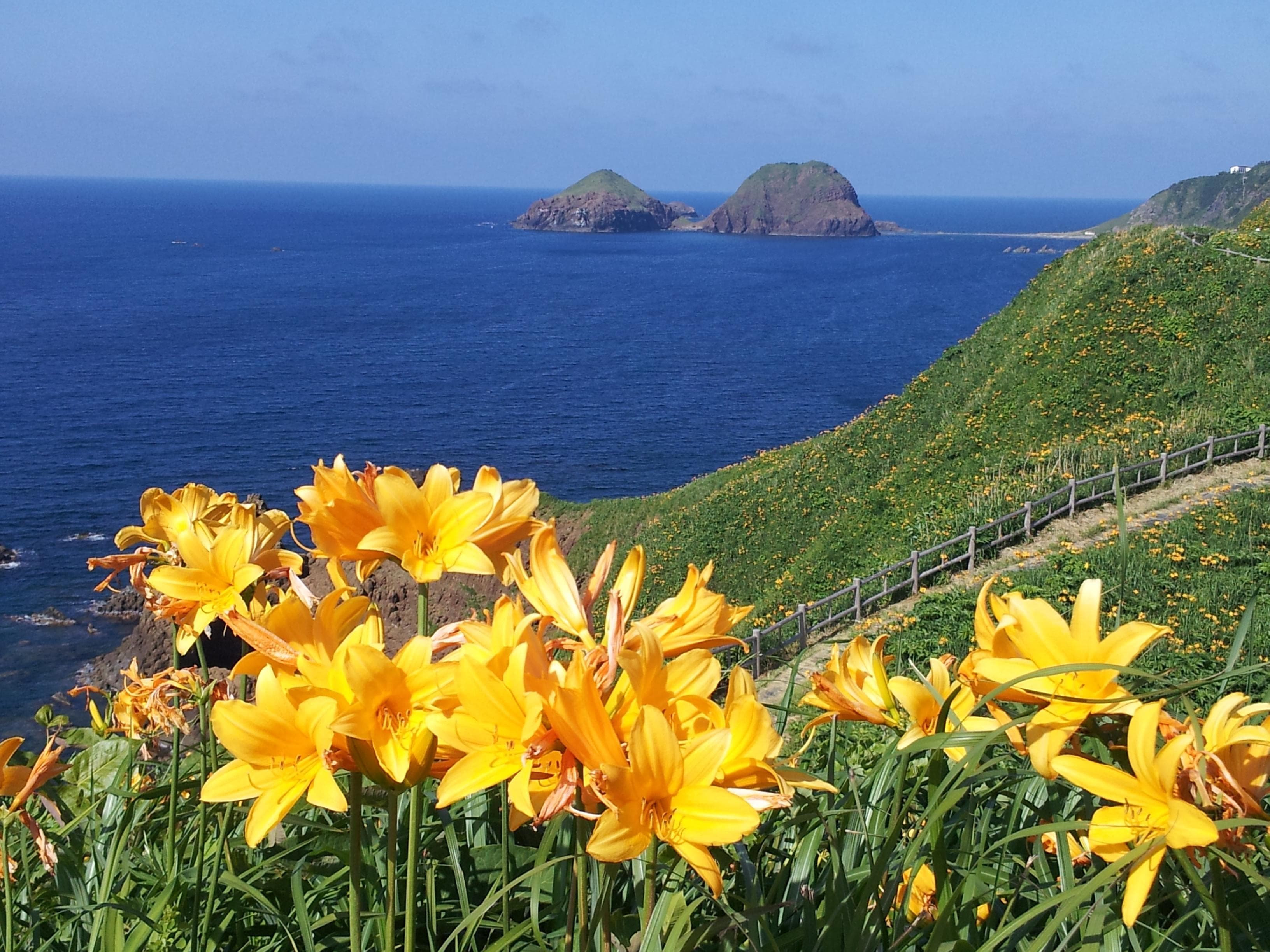 大野亀から二つ亀の景色です。