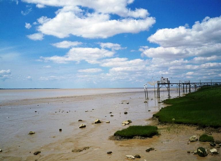 Carrelets sur la Gironde