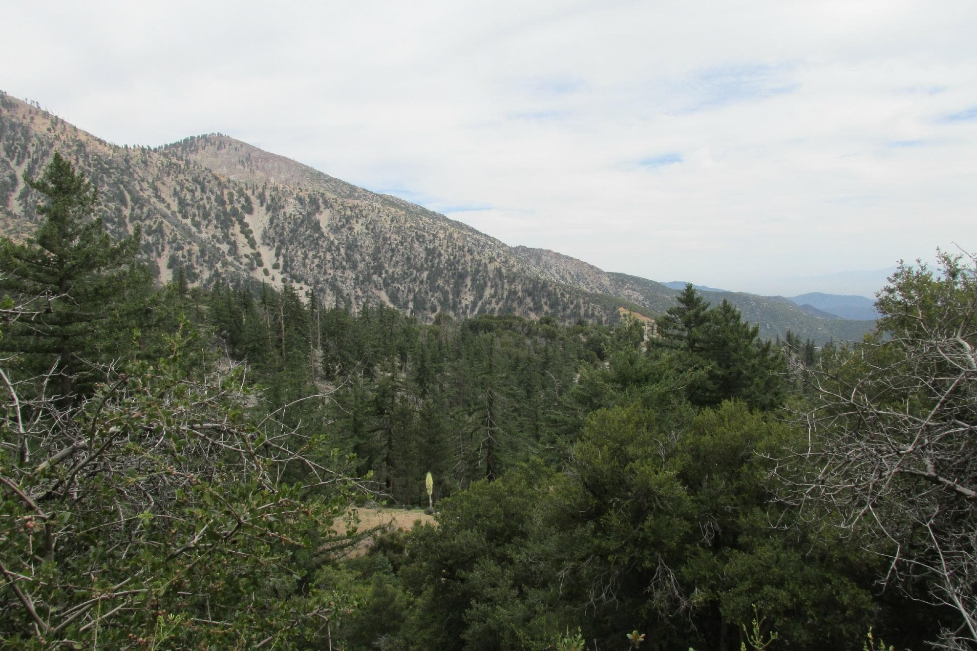 San Gabriel Mountains