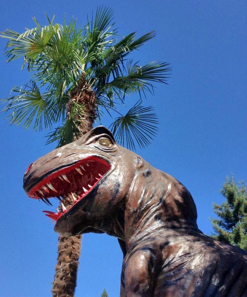 Enjoying the sites of Guerneville!