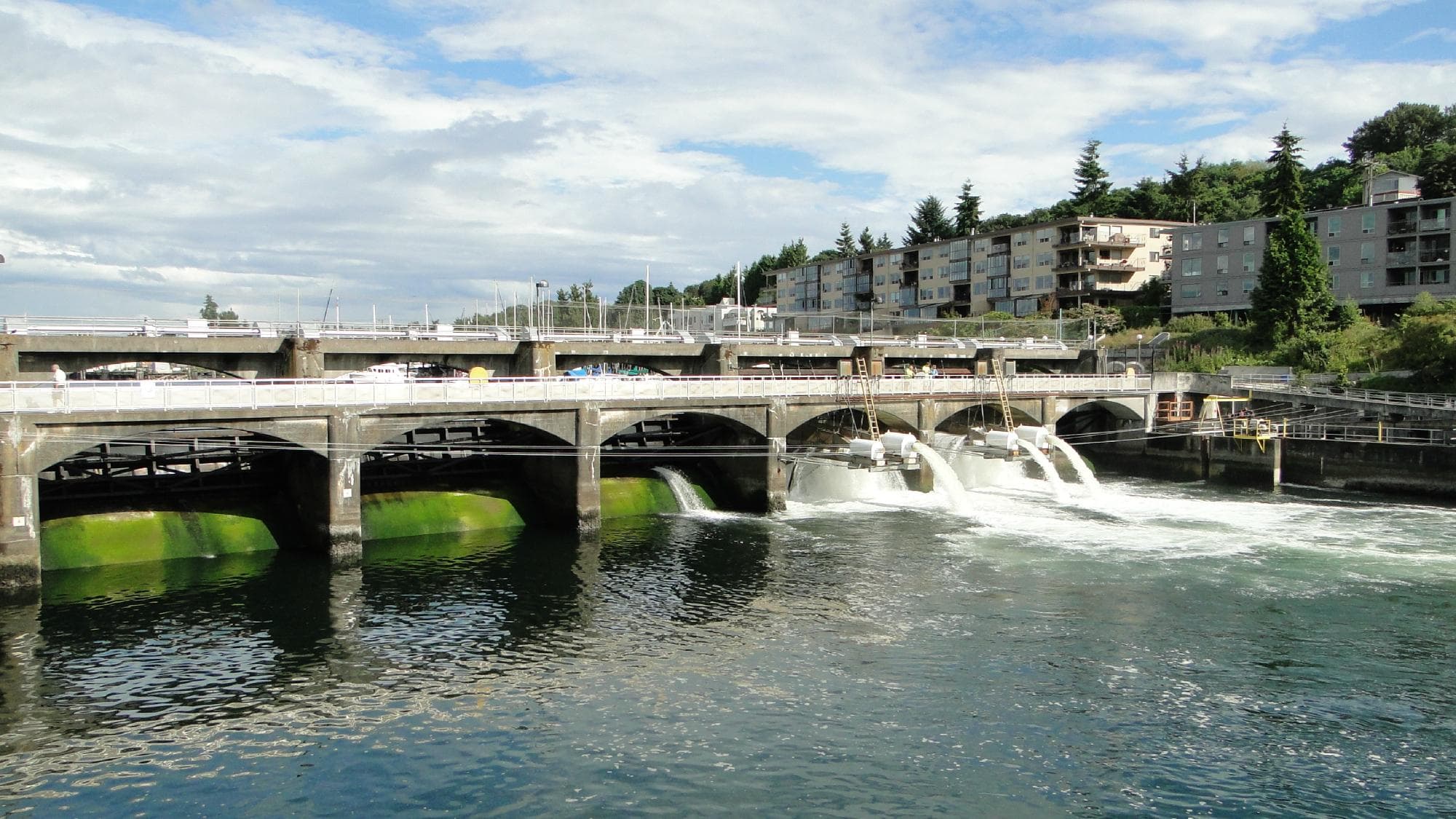 Part of the spill way leading to the fish ladder
