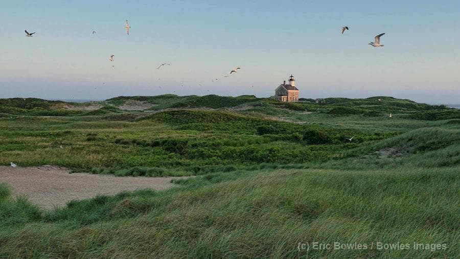 Gulls over the refuge at sunrise with the North Lighthouse