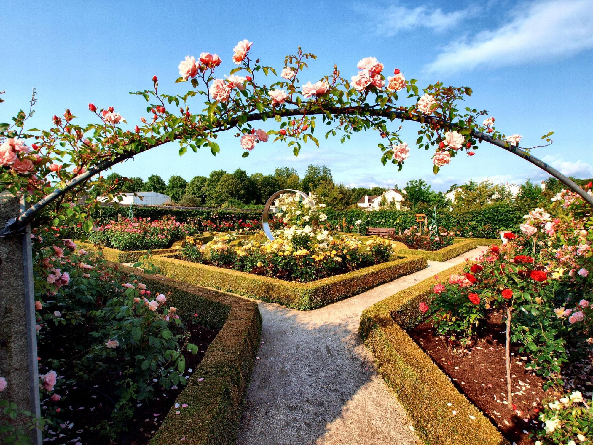 entrance rose garden