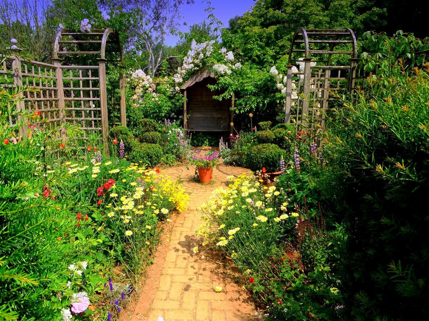 2nd of loads of pictures